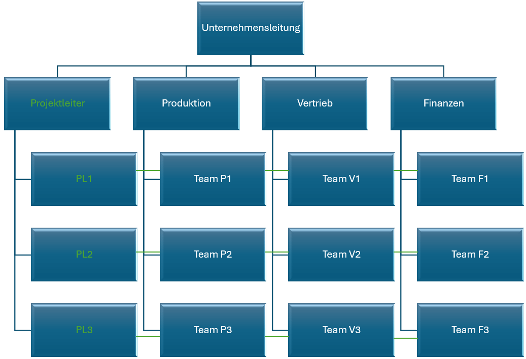 Matrixorganisation